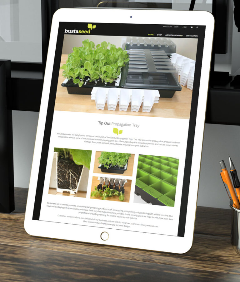Web Design - eCommerce Website Design Northern Ireland