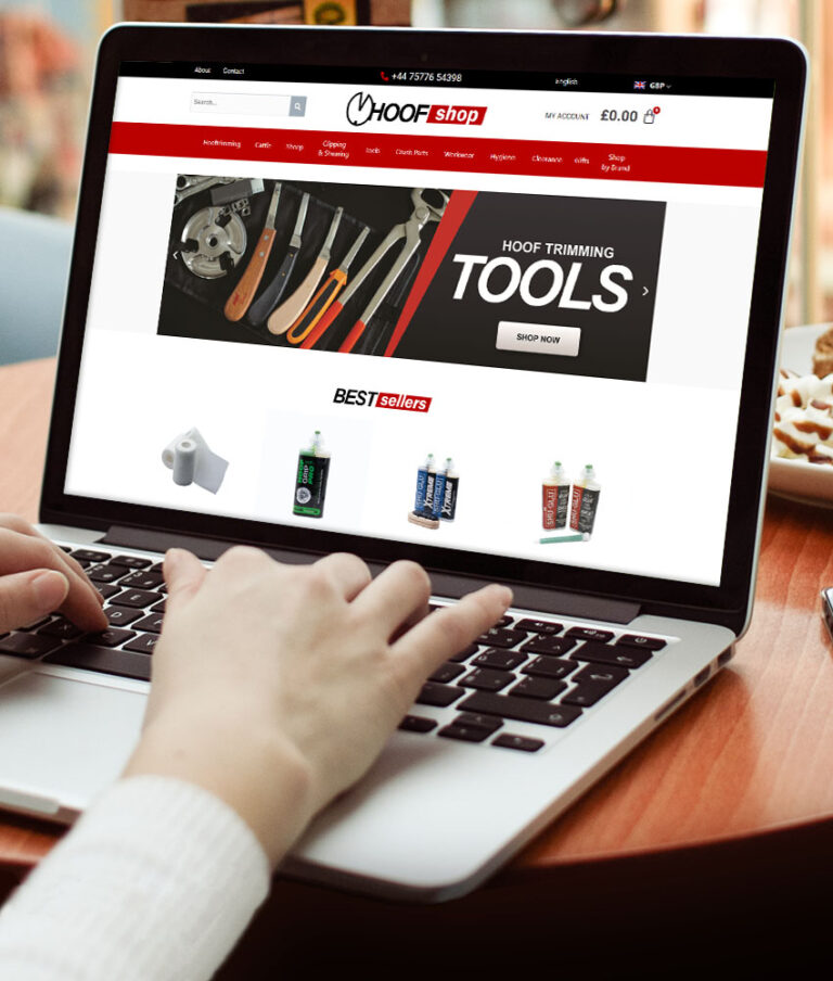 Web Design - eCommerce Website Design Banbridge Northern Ireland