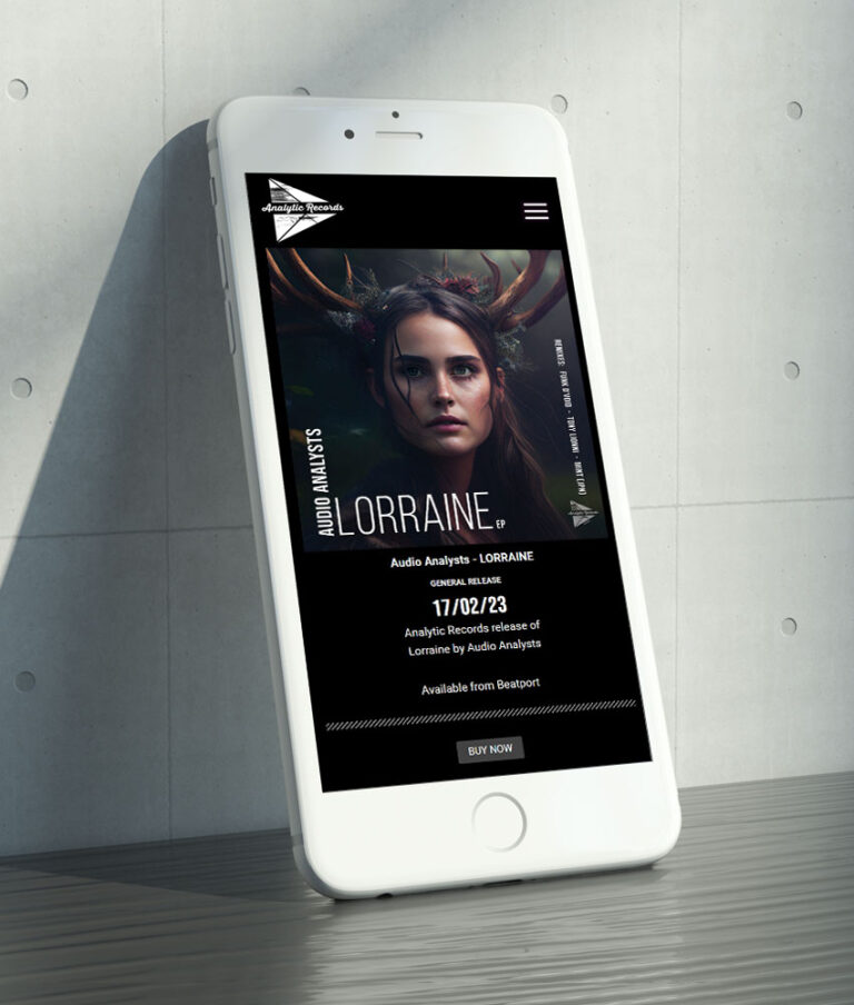 Website Design for Record Label Northern Ireland